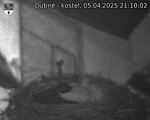 Capi_Dubne_20250405_211002.jpg