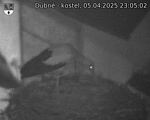 Capi_Dubne_20250405_230502.jpg