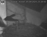 Capi_Dubne_20250405_232002.jpg