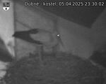 Capi_Dubne_20250405_233002.jpg