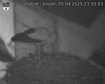 Capi_Dubne_20250405_235003.jpg