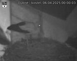 Capi_Dubne_20250406_000003.jpg