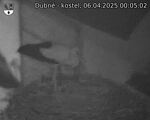 Capi_Dubne_20250406_000502.jpg