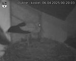 Capi_Dubne_20250406_002003.jpg