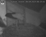 Capi_Dubne_20250406_002502.jpg