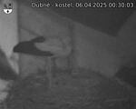 Capi_Dubne_20250406_003003.jpg