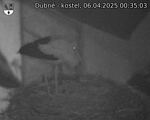 Capi_Dubne_20250406_003503.jpg