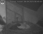 Capi_Dubne_20250406_004503.jpg