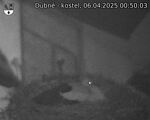 Capi_Dubne_20250406_005003.jpg