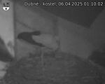 Capi_Dubne_20250406_011002.jpg