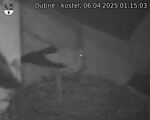 Capi_Dubne_20250406_011503.jpg