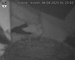 Capi_Dubne_20250406_012503.jpg