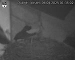 Capi_Dubne_20250406_013502.jpg