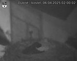 Capi_Dubne_20250406_020002.jpg