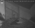 Capi_Dubne_20250406_021002.jpg
