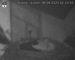 Capi_Dubne_20250406_021503.jpg