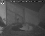 Capi_Dubne_20250406_024003.jpg