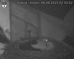 Capi_Dubne_20250406_025002.jpg