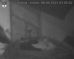 Capi_Dubne_20250406_030502.jpg
