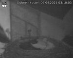 Capi_Dubne_20250406_031003.jpg