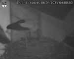 Capi_Dubne_20250406_040003.jpg