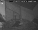 Capi_Dubne_20250406_041002.jpg