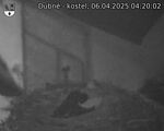 Capi_Dubne_20250406_042002.jpg