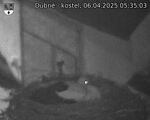 Capi_Dubne_20250406_053503.jpg