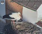 Capi_Dubne_20250406_080002.jpg
