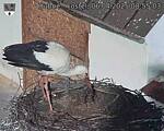 Capi_Dubne_20250406_085503.jpg