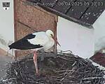 Capi_Dubne_20250406_091003.jpg