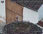 Capi_Dubne_20250406_094003.jpg