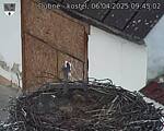 Capi_Dubne_20250406_094502.jpg