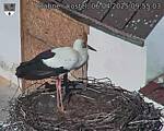 Capi_Dubne_20250406_095503.jpg