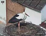 Capi_Dubne_20250406_101502.jpg