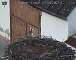 Capi_Dubne_20250406_103002.jpg