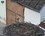 Capi_Dubne_20250406_103502.jpg