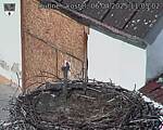 Capi_Dubne_20250406_110502.jpg