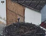 Capi_Dubne_20250406_112002.jpg