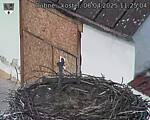Capi_Dubne_20250406_112504.jpg