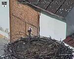 Capi_Dubne_20250406_113502.jpg