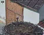 Capi_Dubne_20250406_114004.jpg