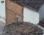 Capi_Dubne_20250406_121002.jpg