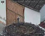 Capi_Dubne_20250406_122003.jpg