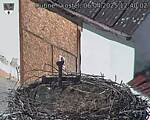 Capi_Dubne_20250406_124002.jpg