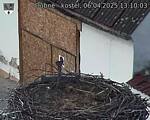 Capi_Dubne_20250406_131003.jpg