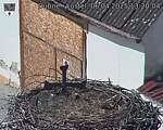 Capi_Dubne_20250406_132004.jpg