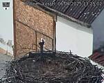 Capi_Dubne_20250406_132502.jpg