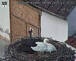 Capi_Dubne_20250406_133502.jpg