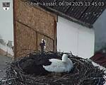 Capi_Dubne_20250406_134503.jpg